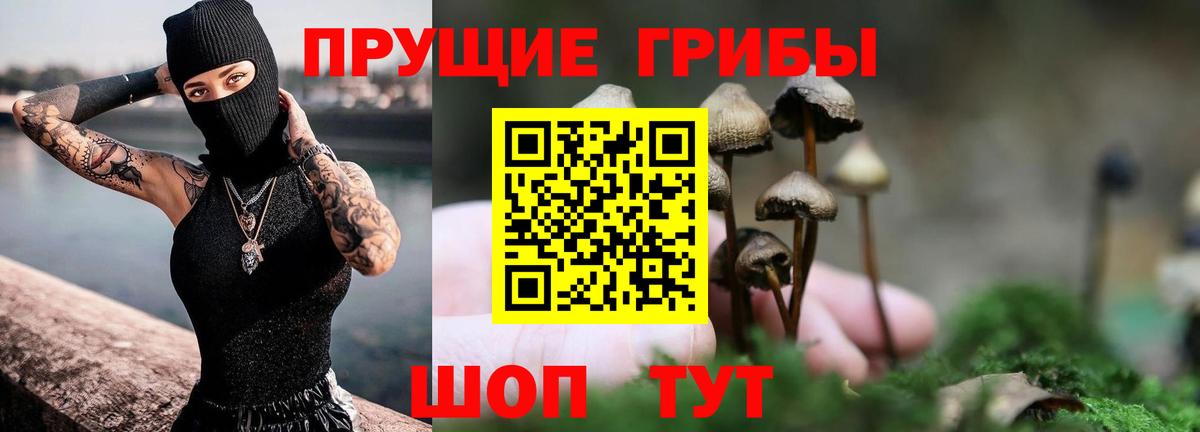 Галлюциногенные грибы Magic Shrooms  Вход с VPN  Сегежа 